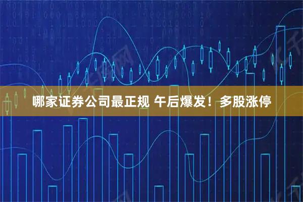 哪家证券公司最正规 午后爆发！多股涨停